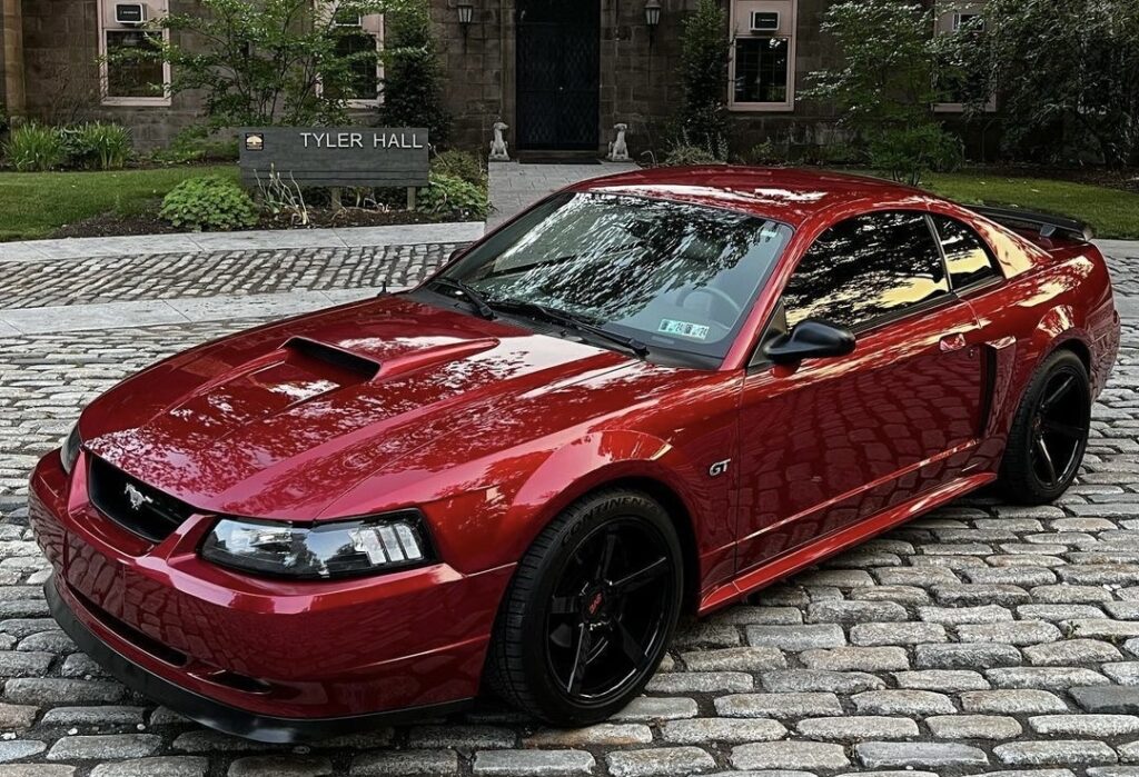 IMG_0012 mustang